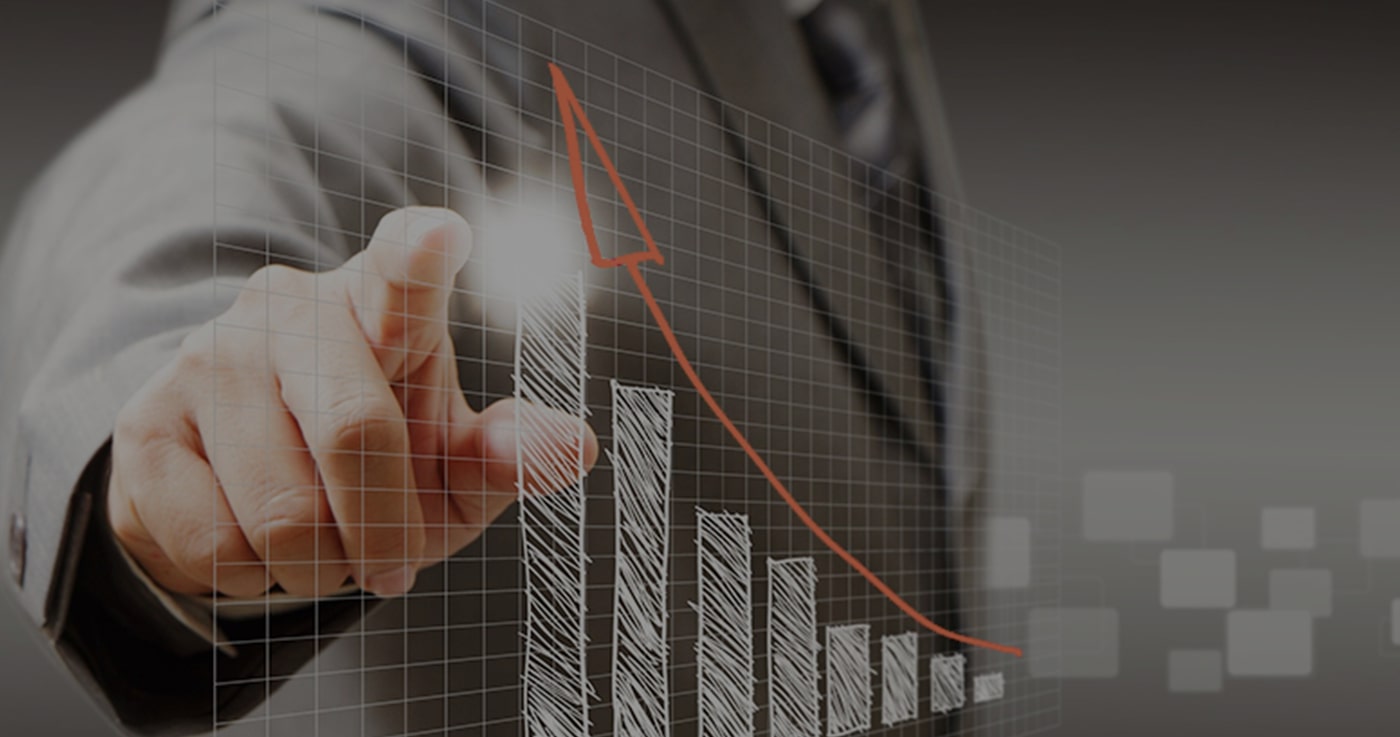 A portfolio shaped by vision, discipline, and time